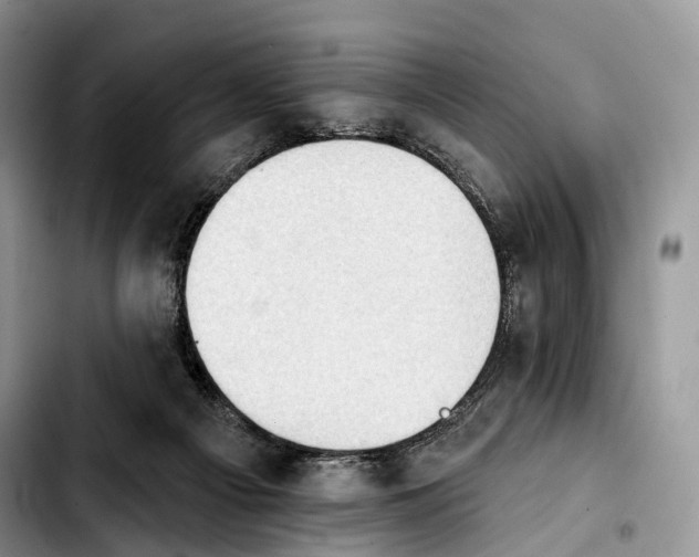 X0000103910121200810101316