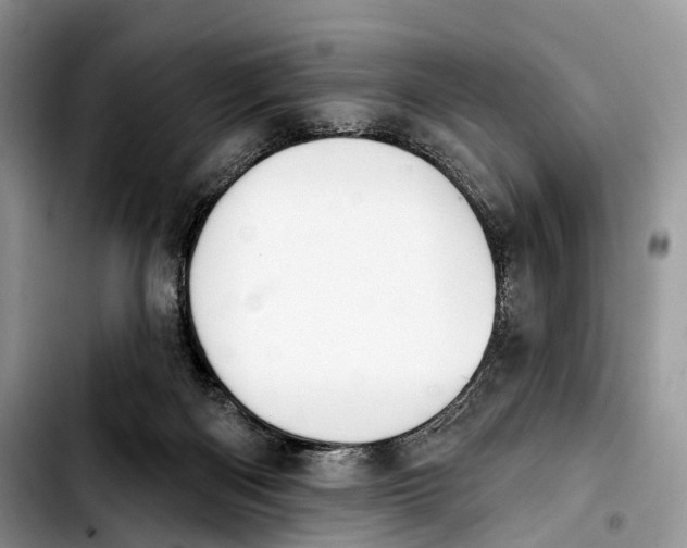 X0000103910122200810101316