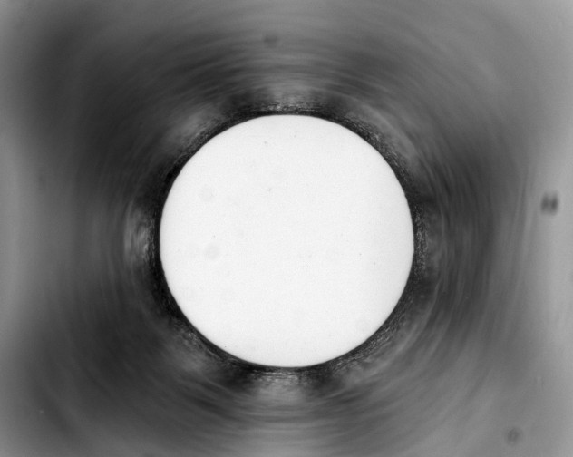X0000103910123200810101316