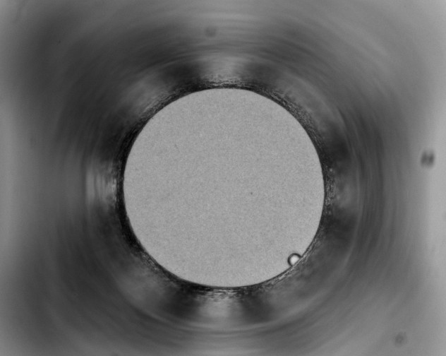 X0000103910124200810101316