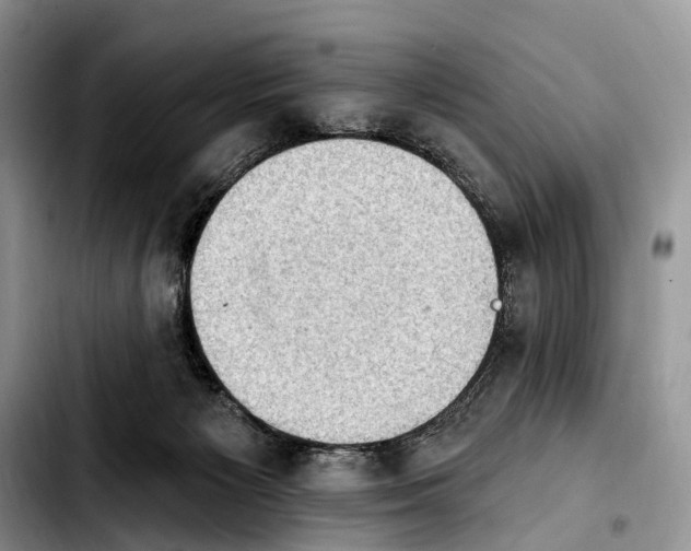 X0000103910125200810101316