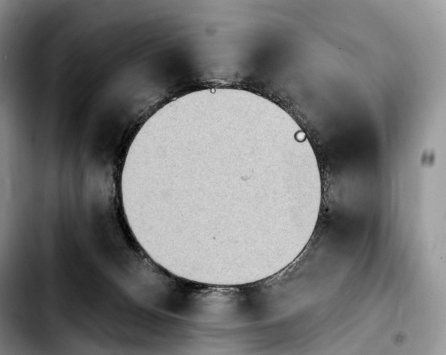 X0000103910128200810101316
