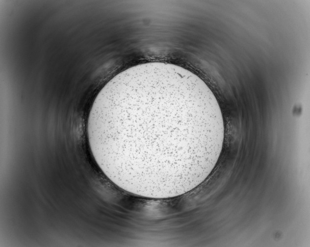 X0000103910130200810101316