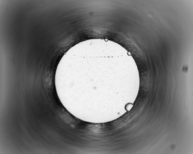 X0000103910131200810101316
