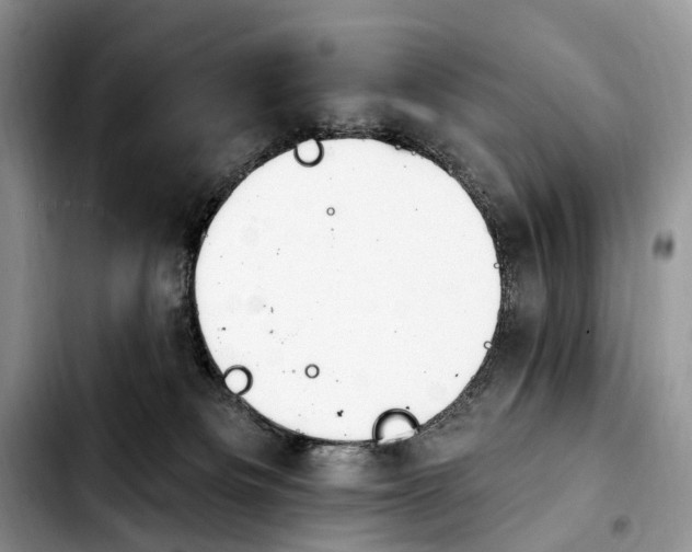 X0000103910133200810101316