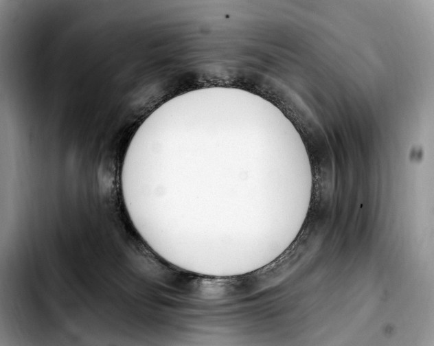 X0000103910134200810101316