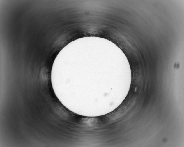 X0000103910135200810101316