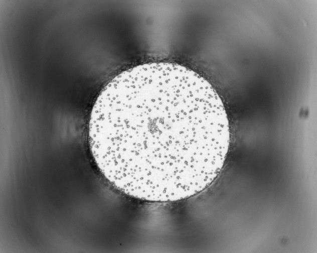 X0000103910136200810101316