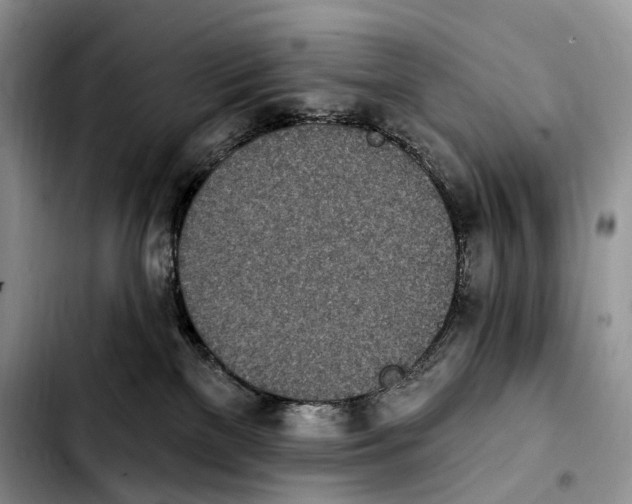 X0000103910137200810101316