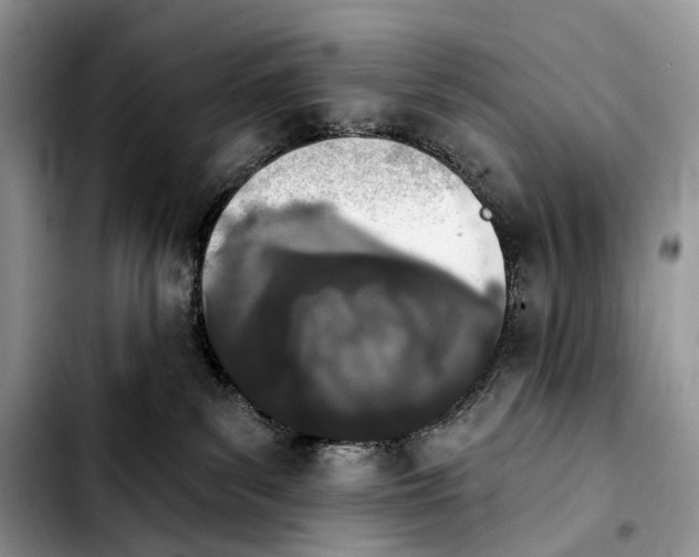 X0000103910139200810101316