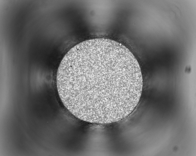 X0000103910140200810101316