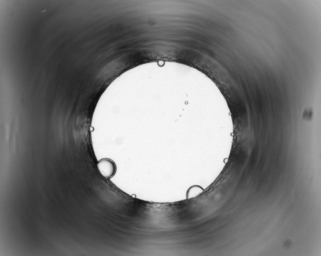 X0000103910141200810101316