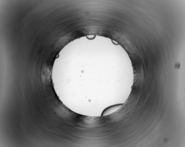 X0000103910142200810101316