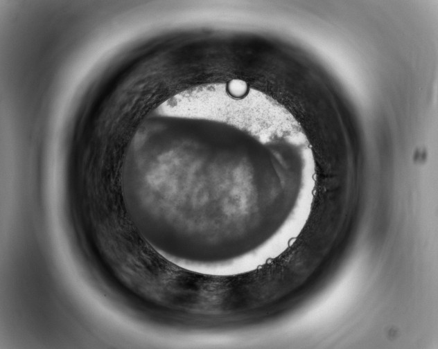 X0000103910143200810101316