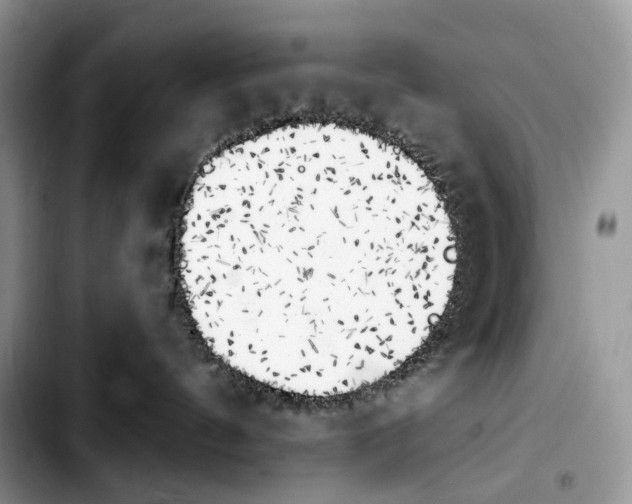 X0000103910144200810101316