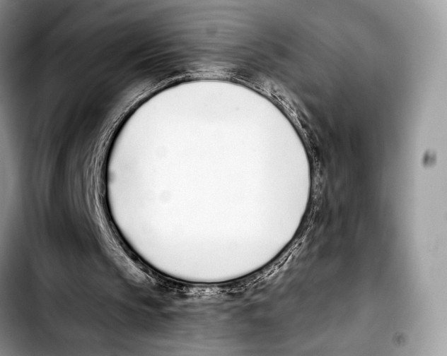 X0000103910145200810101315