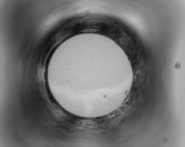 X0000103910146200810101315