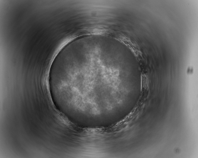 X0000103910147200810101315