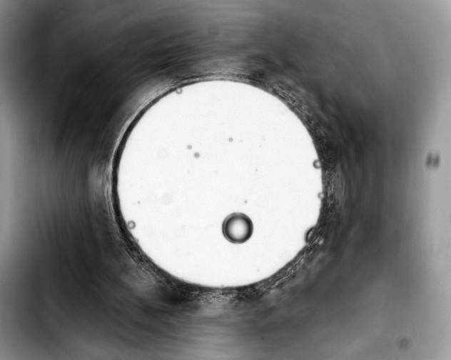 X0000103910148200810101315