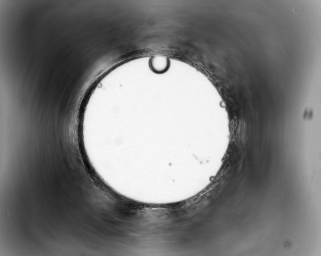 X0000103910150200810101315