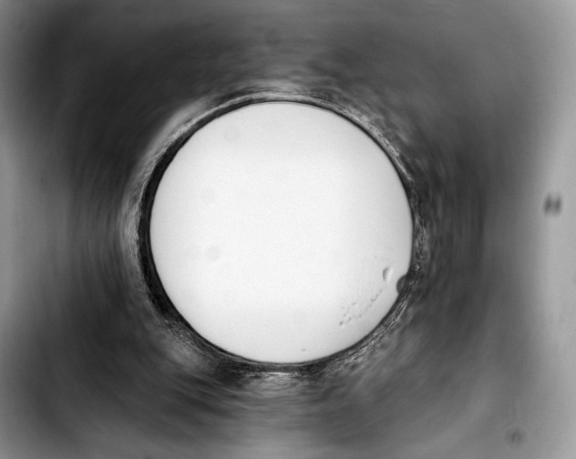X0000103910151200810101315