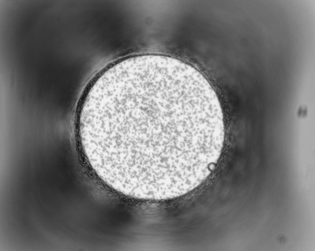 X0000103910152200810101315