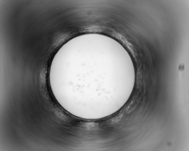 X0000103910153200810101315