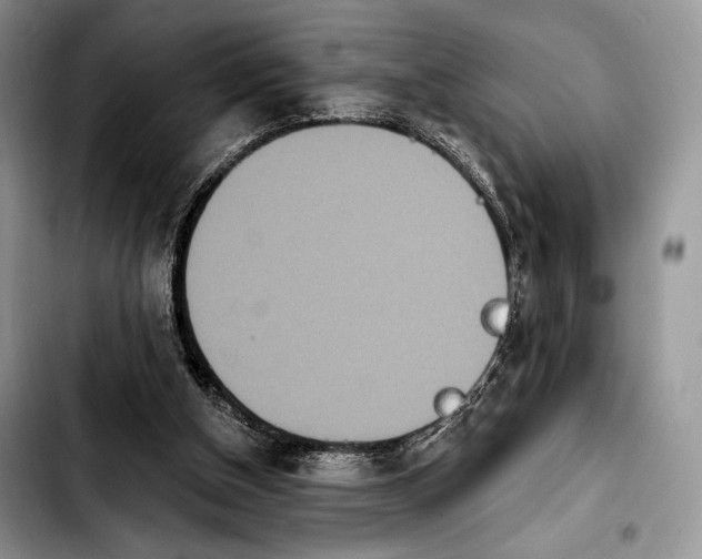 X0000103910154200810101315