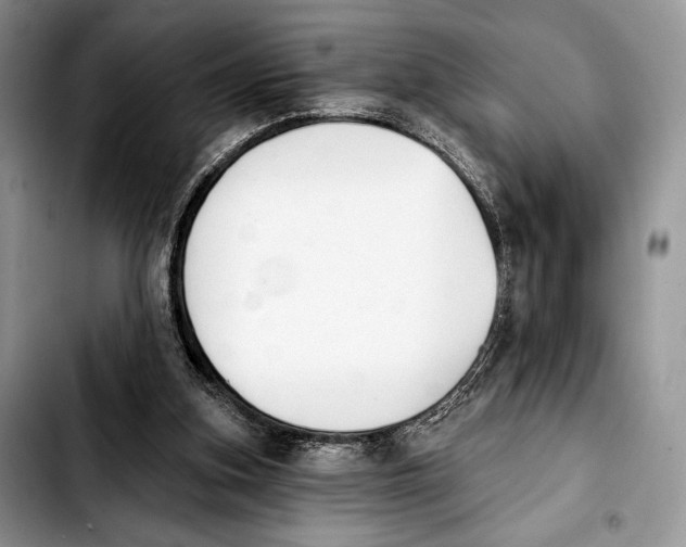 X0000103910155200810101315