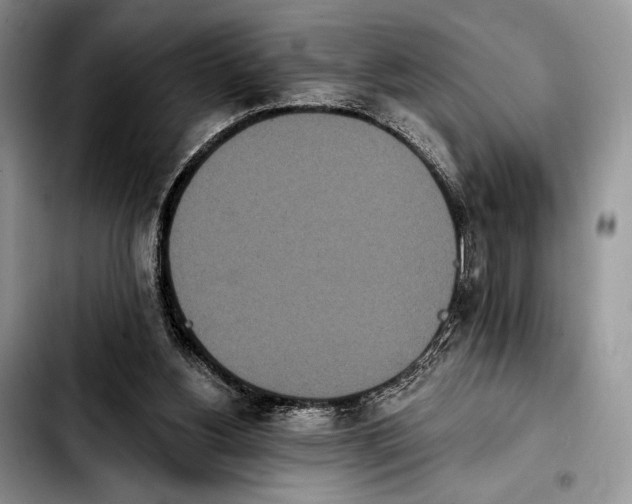 X0000103910156200810101315