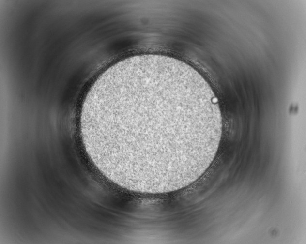 X0000103910158200810101315
