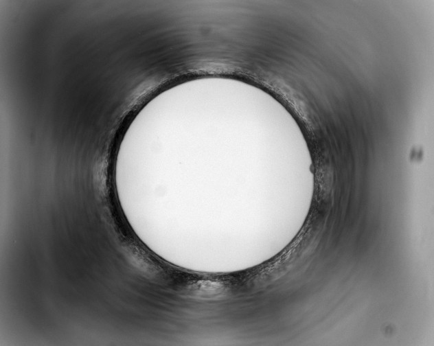 X0000103910159200810101315