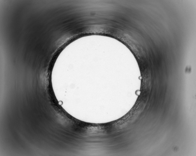 X0000103910160200810101315