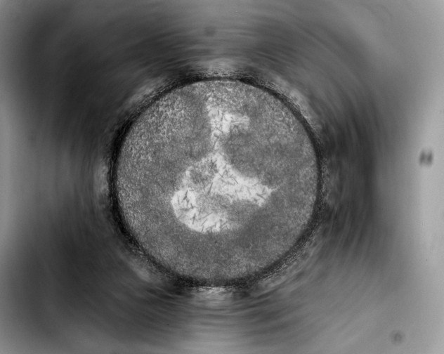 X0000103910161200810101315