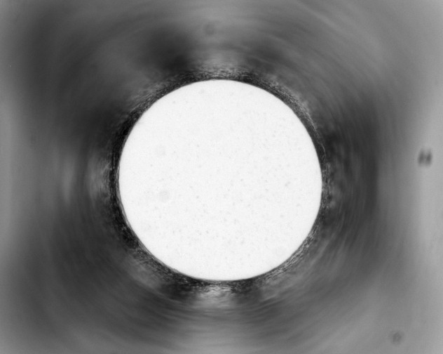 X0000103910162200810101315