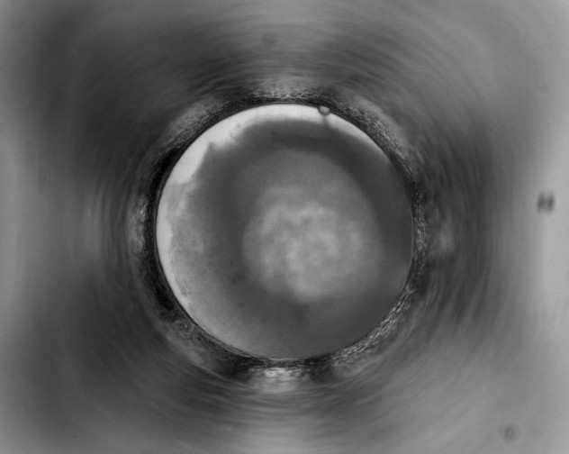 X0000103910163200810101315