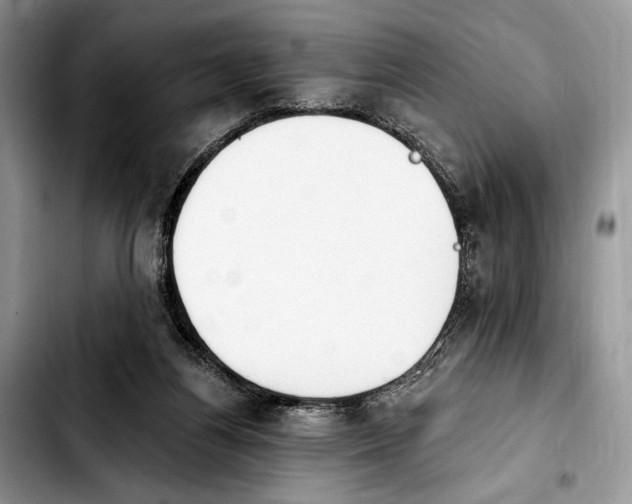 X0000103910164200810101315