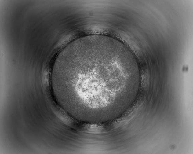 X0000103910165200810101315