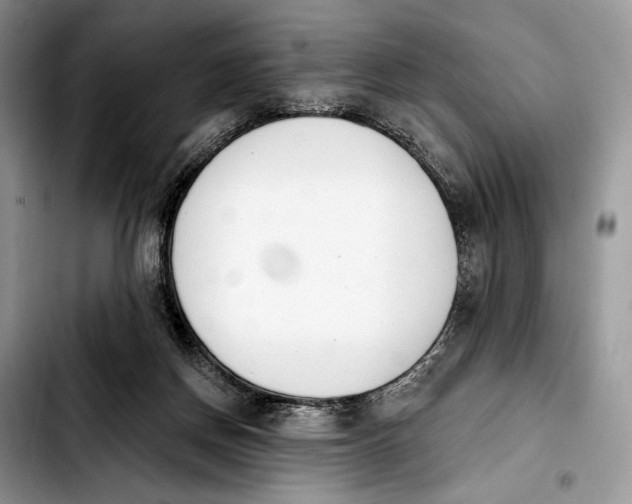 X0000103910166200810101315