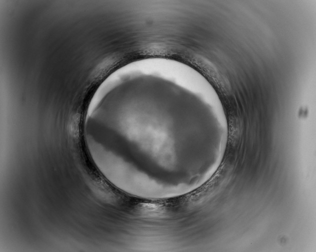 X0000103910167200810101315