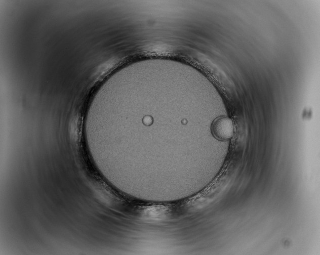 X0000103910168200810101315