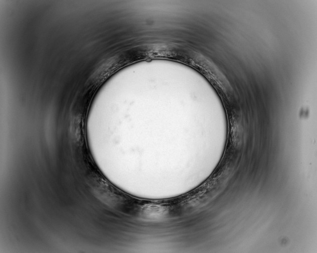 X0000103910169200810101315
