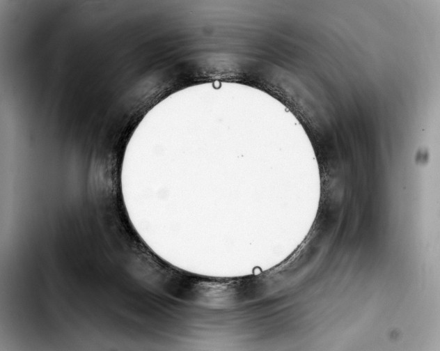 X0000103910170200810101315