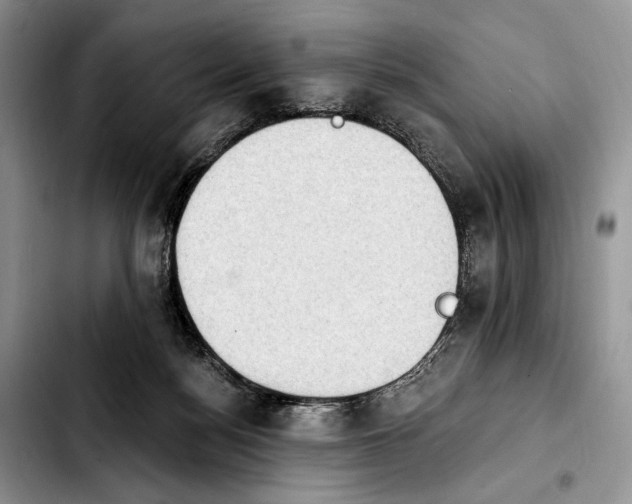 X0000103910172200810101315