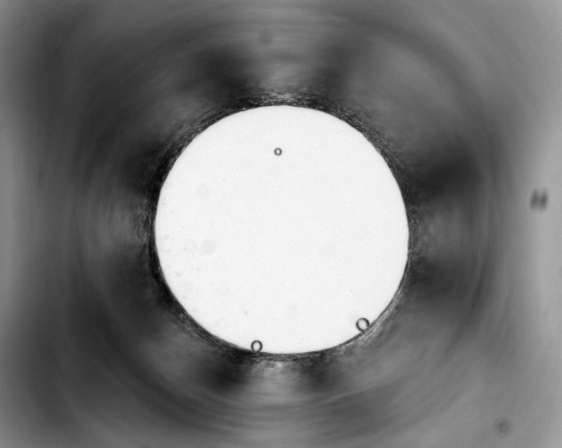 X0000103910174200810101316