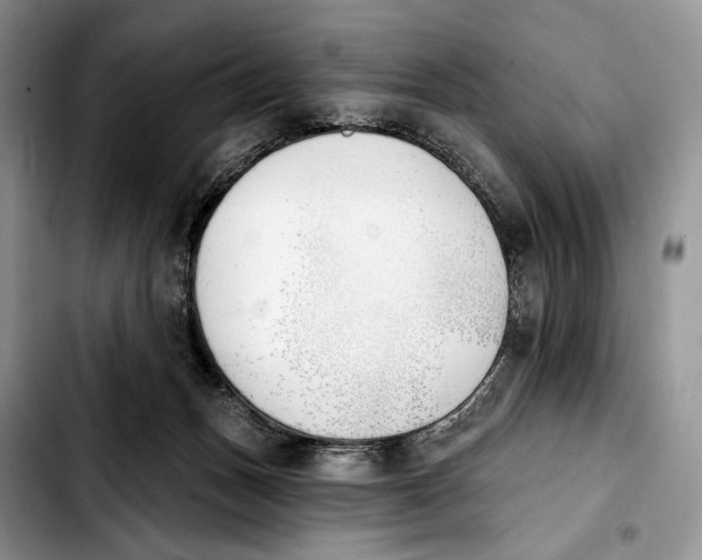 X0000103910175200810101316
