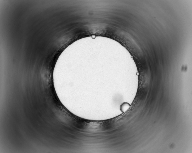 X0000103910176200810101316