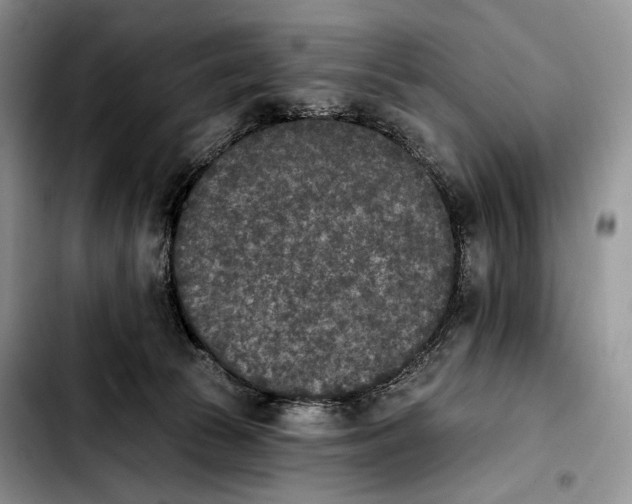 X0000103910177200810101316