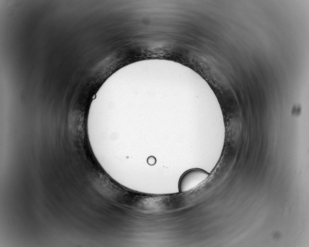 X0000103910178200810101316