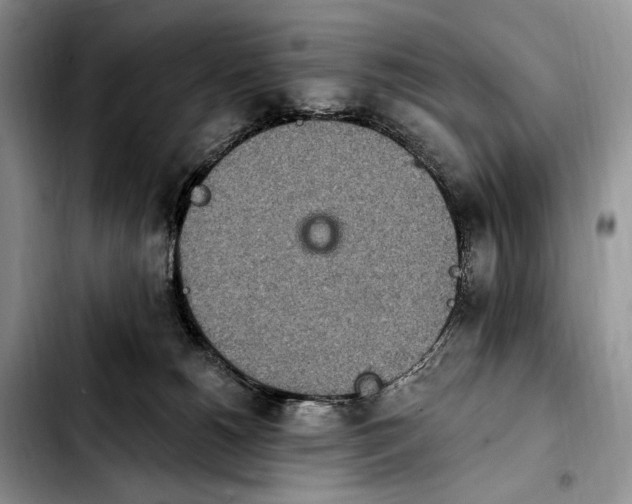 X0000103910180200810101316
